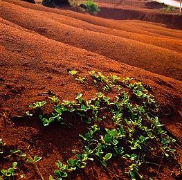 人气动漫《怪兽8号》将推游戏 登陆手机＆Steam平台